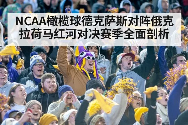 college football stadium crowd
