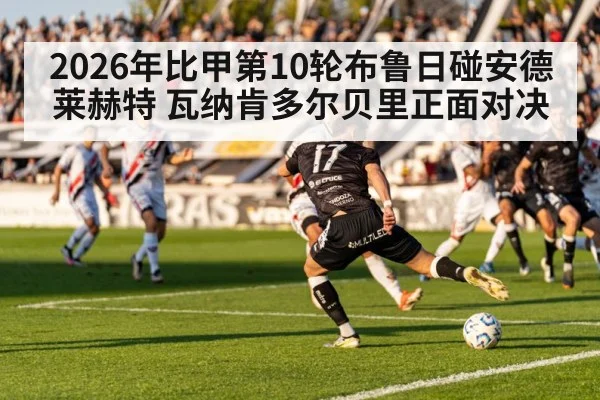 2026年比甲第10轮布鲁日碰安德莱赫特 瓦纳肯多尔贝里正面对决 | kaiyun sports